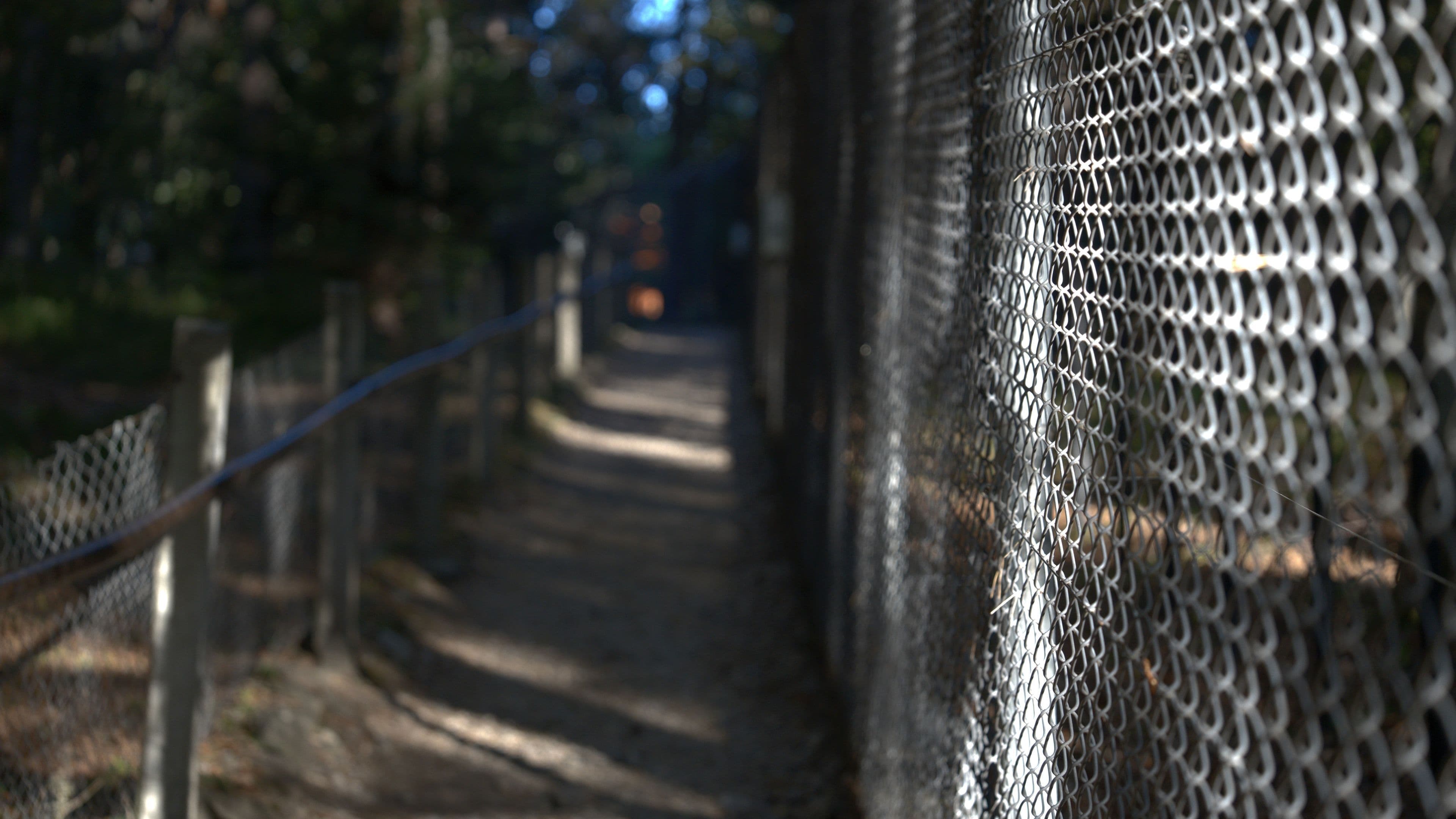 Bear sanctuary fence