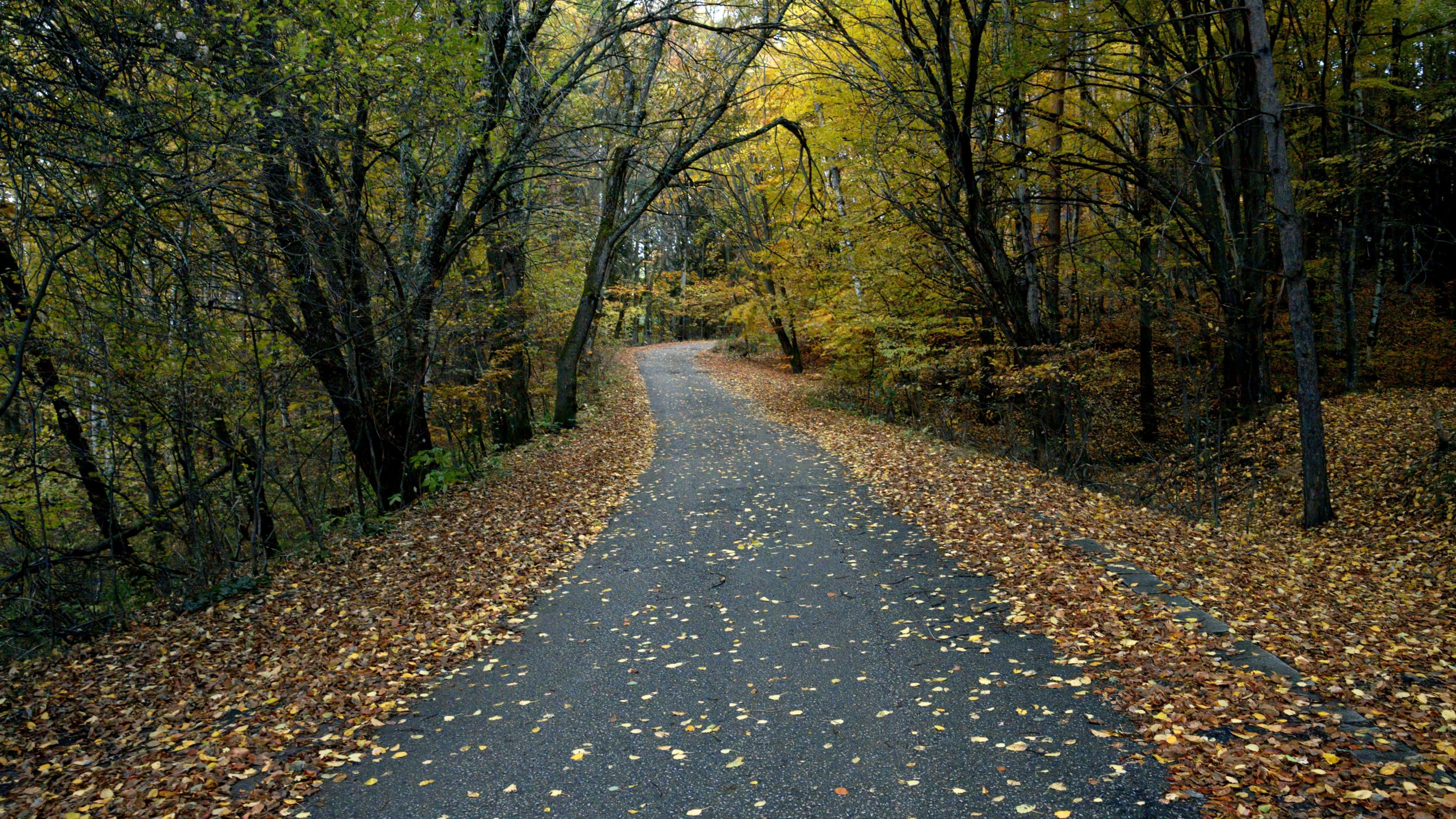Panorama walk Bistritsa - Zheleznitsa